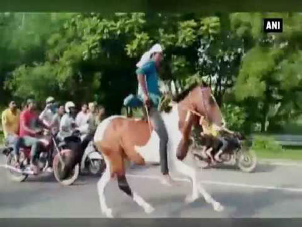 பந்தய குதிரைக்கான தகுதி