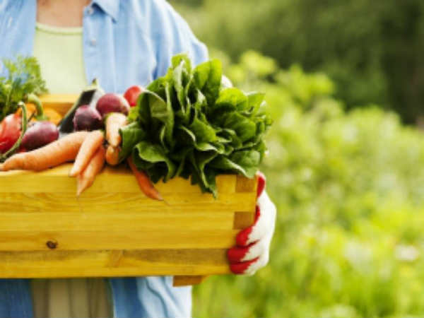 ஆண்ட்டிஆக்ஸிடண்ட் : 