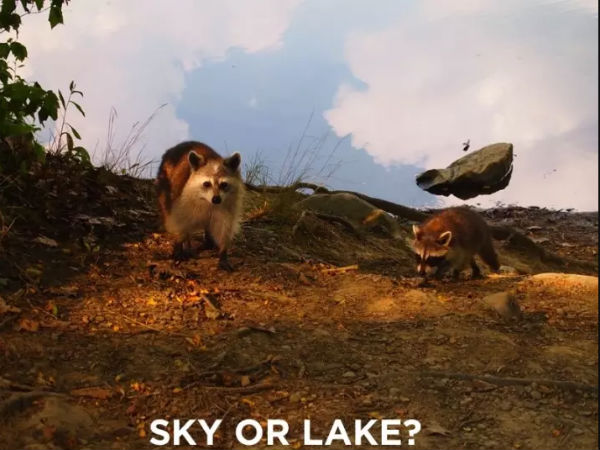 குளமா? வானமா? குளமா? வானமா?