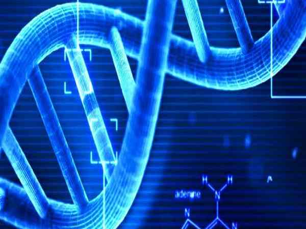 மரபணு தகவல்!