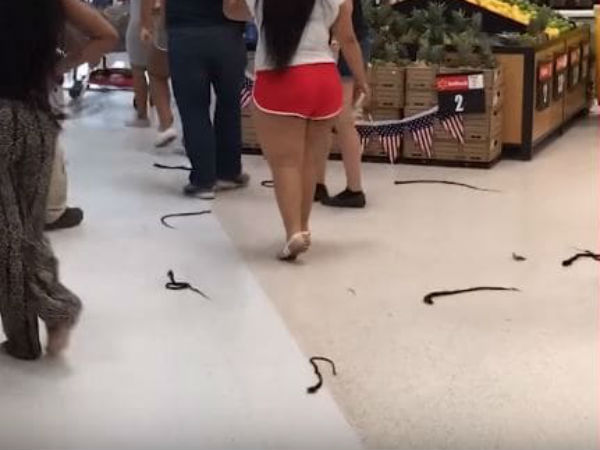 ஸ்தம்பித்தது!