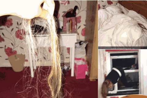 அடேங்கப்பா!