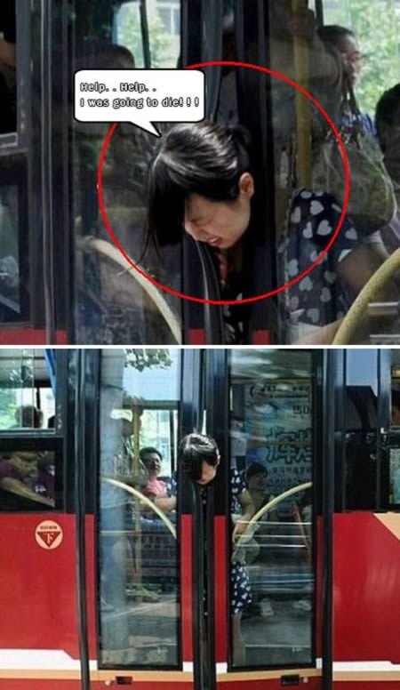 ஆடு மாதிரி! ஆடு மாதிரி!