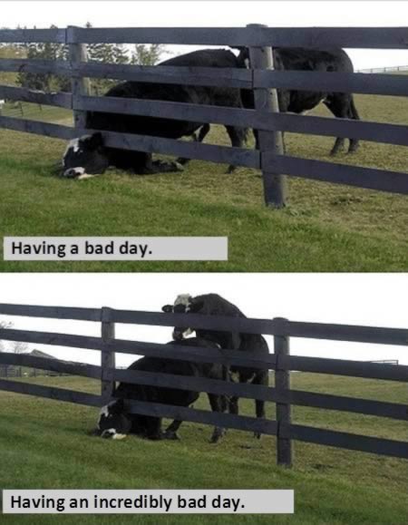 அச்சச்சோ! அச்சச்சோ!