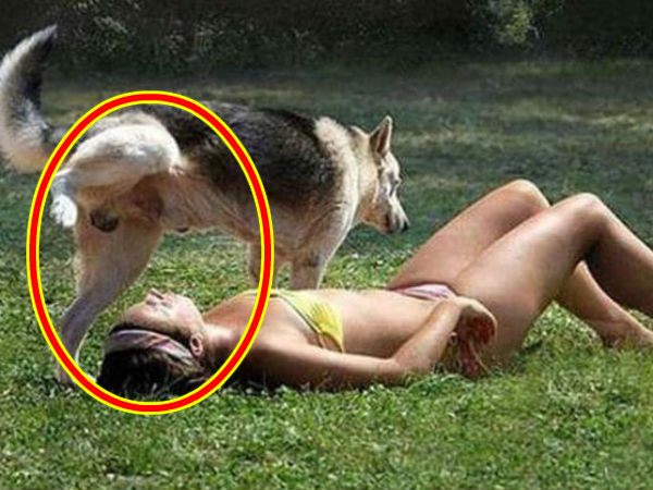 Funny Photos Bad Day of People Funny Photos Bad Day of People