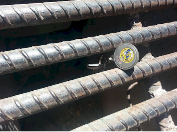 அரிதிலும் அரிது! அரிதிலும் அரிது!