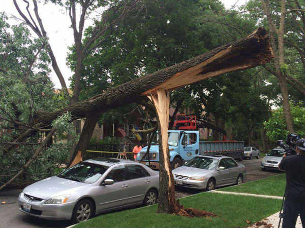 வழிவிடு, வழிவிடு... வழிவிடு, வழிவிடு...