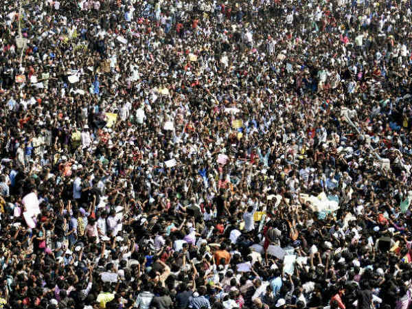 ஜல்லிக்கட்டு போராட்டம்!