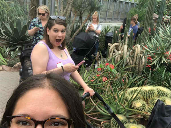 இது கார்டன் போட்டோ புடிக்கலாம் : 