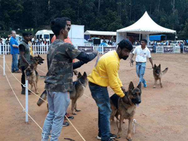 நிபந்தனை! நிபந்தனை!