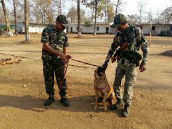 வகைகள்! வகைகள்!