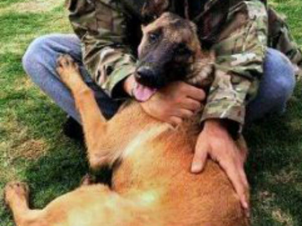 திறனற்று! திறனற்று!