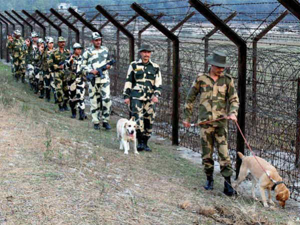 விலங்குகள் ஆர்வலர்கள்! விலங்குகள் ஆர்வலர்கள்!