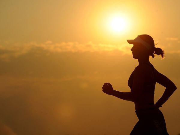 உடற்பயிற்சிகள்