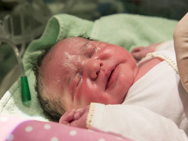 எப்படி மூச்சுவிடும்?