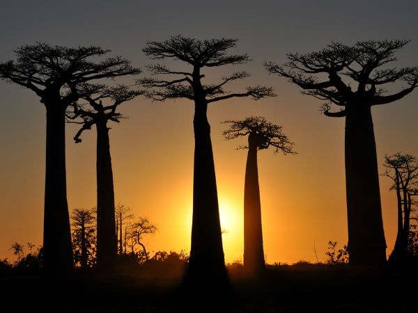 வெறும் பத்தாண்டுகளில்...