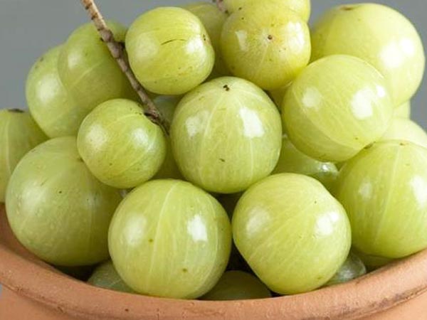 நெல்லிக்காய்