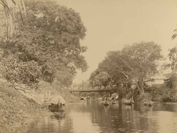 உயிரைக் காப்பாற்றிய கொச்சினி : 