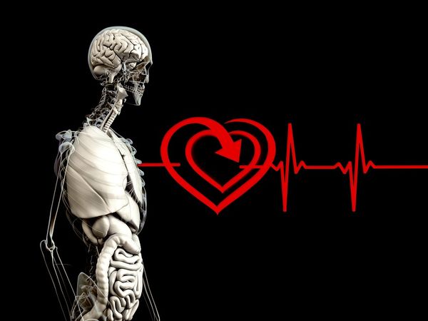 இதய நோய்கள் 