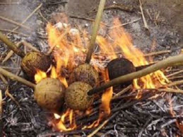 வெடி தேங்காய்