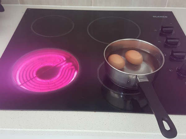 முட்டை : 