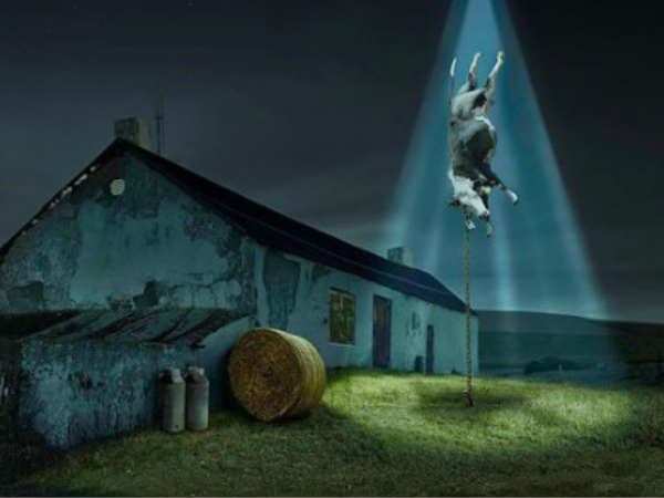 தினமுமா? தினமுமா?