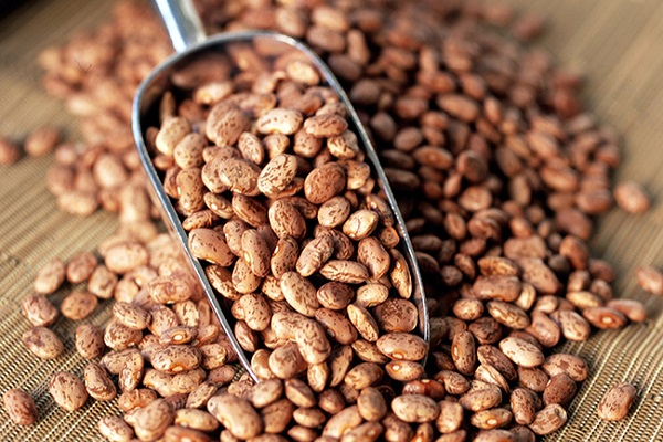 பின்டோ பீன்ஸ் 