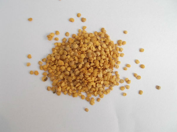 விதைகள்