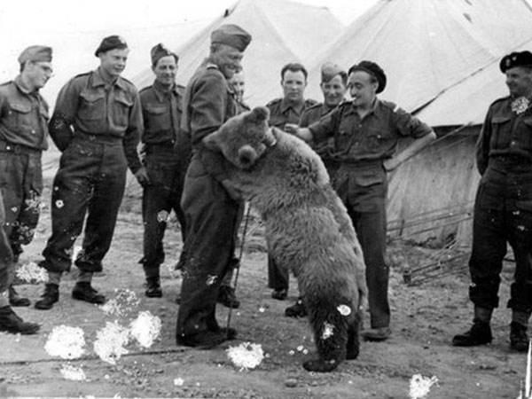 டெடி பெர்ரும் அமெரிக்க பிரசிடண்டும்..!