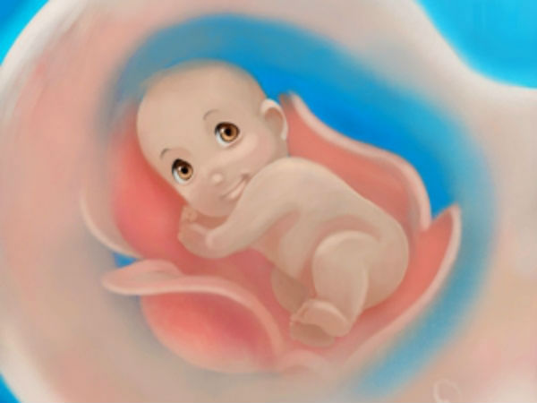 கர்ப்பத்தின் இரண்டாவது பகுதி