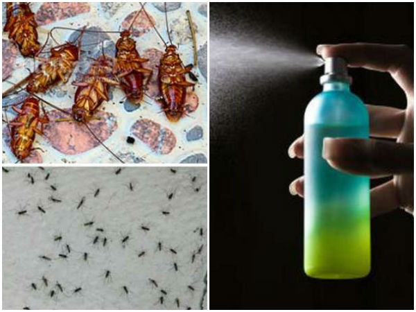 கொசுக்கள் மட்டுமா..?