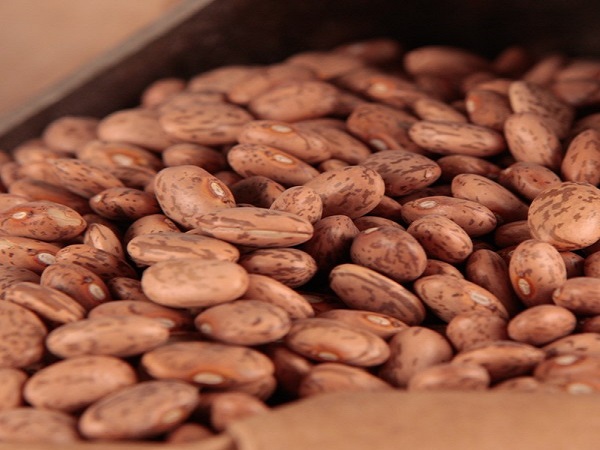 பொதுவான கேள்விகள்