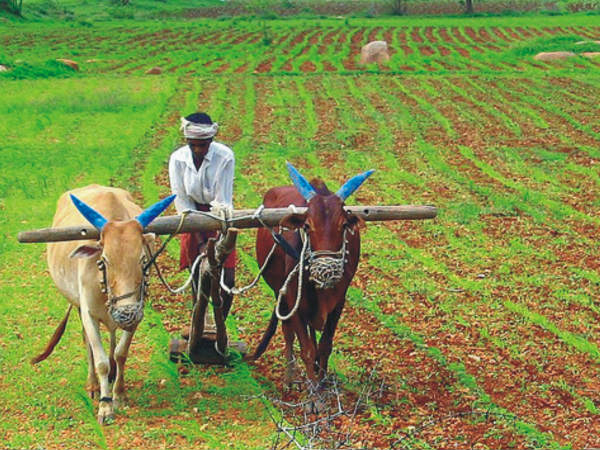 எது நம் பாதை..?