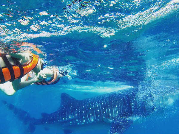 காதலர் தினத்தன்று...