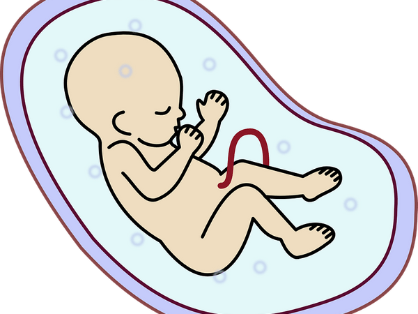 உணவுப்பொருள்களை கடத்த..