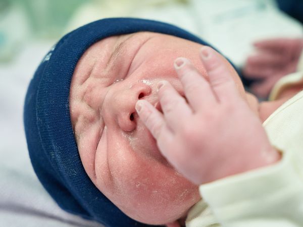 நஞ்சுக்கொடி 