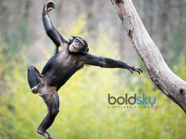 சுயஇன்பம் என்பது மனிதர்களுக்கானது மட்டுமல்ல