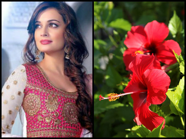 செய்முறை :-