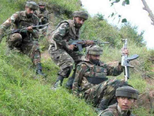 தாடிக்கு கொடுக்கும் பரிசுகள்..!