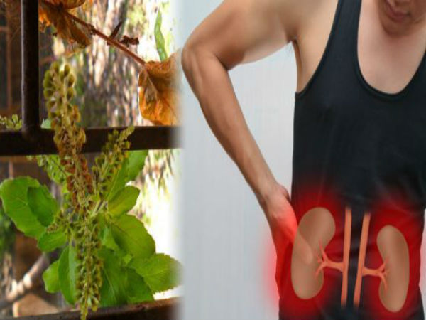 மூலிகை மருந்து