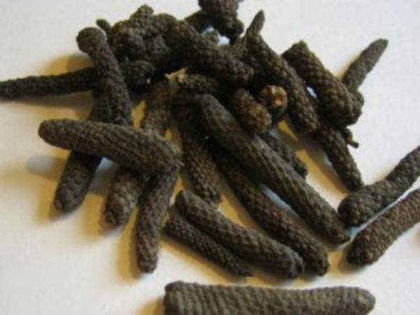 திப்பிலியின் அற்புதங்கள்