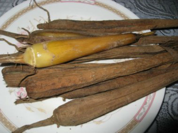 1. நிலப் பனங்கிழங்கு