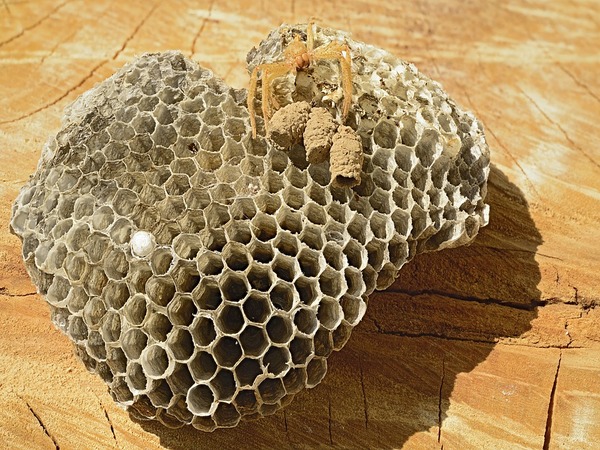 வெளியான தகவல்கள்!