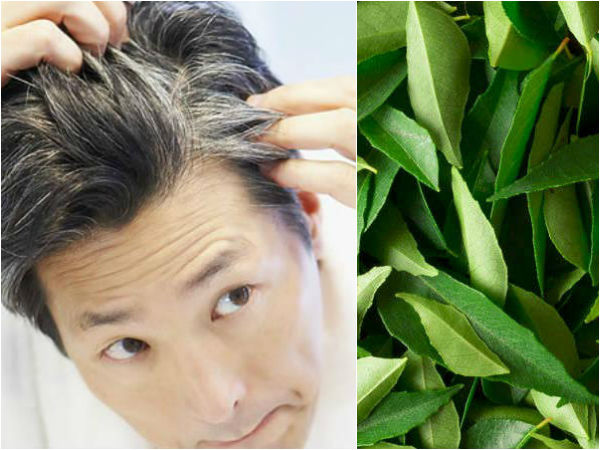 கருவேப்பிலை 