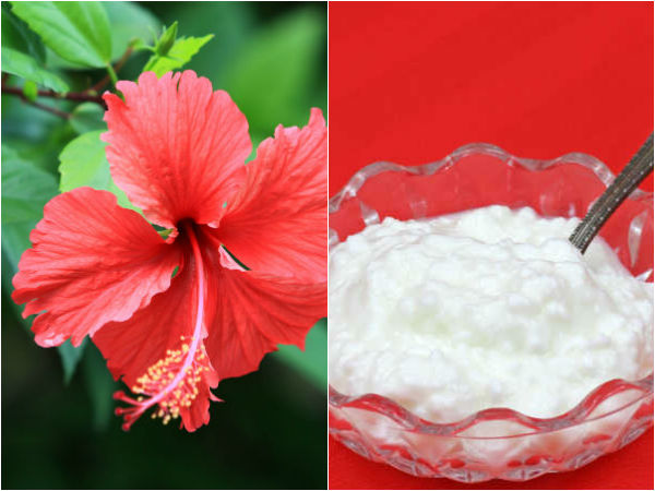 செம்பருத்தி பூ :-