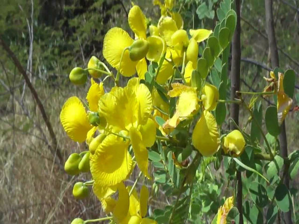வளரும் இடம்