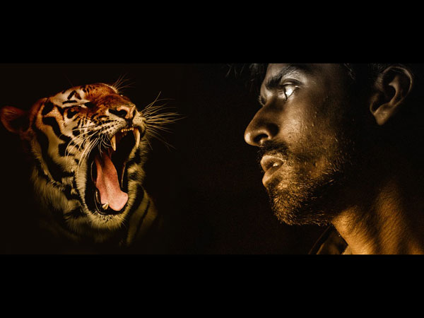 கனவின் அர்த்தம் 