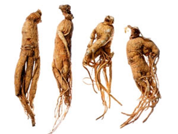 தயாரிக்கும் முறை