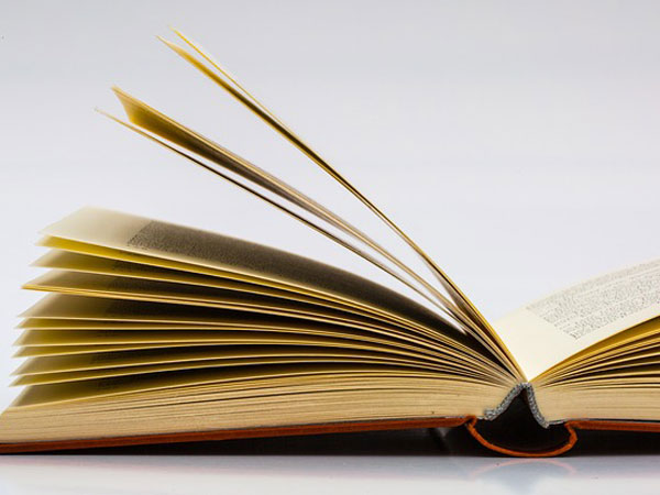 முதல் எழுத்தாளர் 