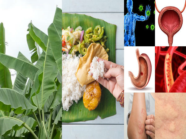 வலிமையான ஆன்டி ஆக்ஸிடன்ட்கள் 